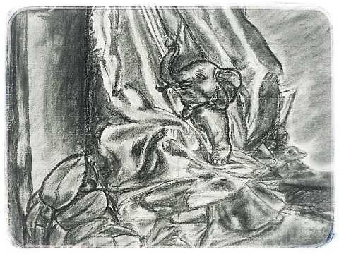 hayate 木炭デッサン