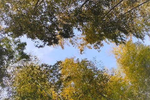 京王線・小田急線で通う絵画教室の立地