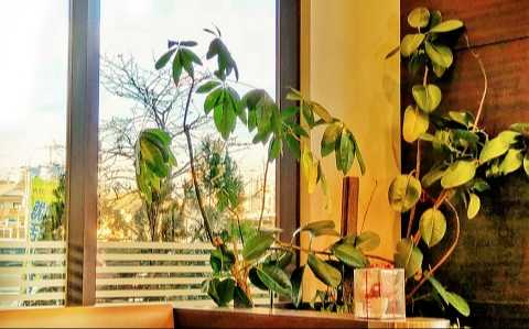 絵画教室のレッスン料金の詳細