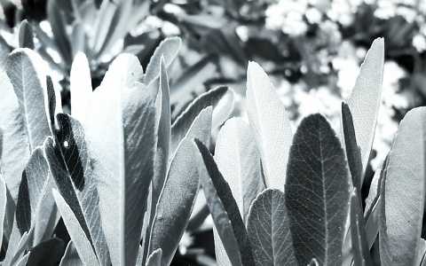 デッサンの力がつく絵画教室のサイトマップ