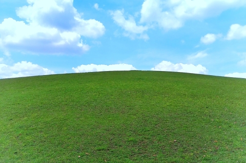 絵画教室の体験レッスン