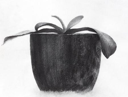 2017 木炭による作品