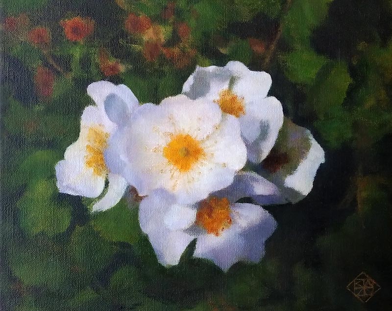 カズヒコカケガワ作品、ひろさと深さ、輝き