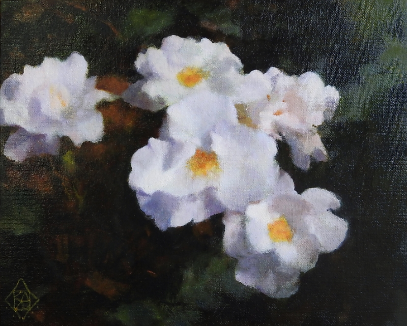 カズヒコカケガワ作品、白く咲く