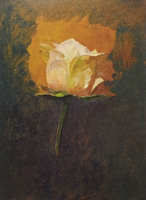 カズヒコカケガワ画集17ページ