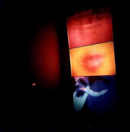 カズヒコ カケガワ作／EATING 画像a ビデオインスタレーション作品