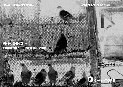 カズヒコ　カケガワ　映像作品＿pigeon hole　DM写真面