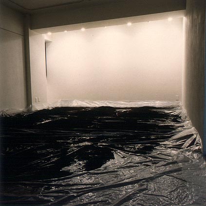 カズヒコ カケガワ／インスタレーション作品会場風景