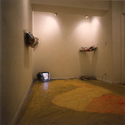 カズヒコ カケガワ／インスタレーション作品